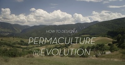 How to Design a Permaculture rEvolution