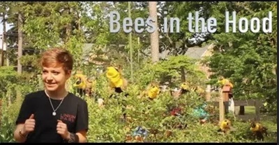 Bees in the Hood: The Dangerous Lives of Bees