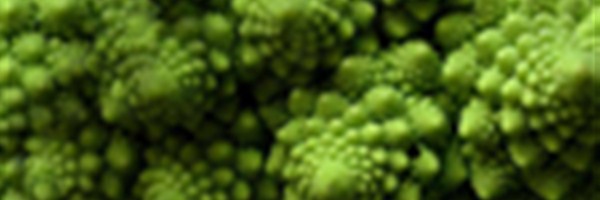 KC GREENS FORUM - Change the Media: Change the WORLD