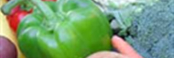 Gleaning Harvest To Feed The Needy