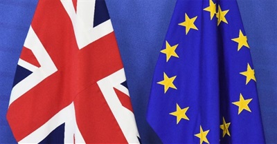 To Leave or Remain: Dichotomy or Distraction?