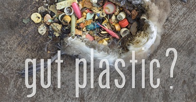 Save The World! Stop Littering!