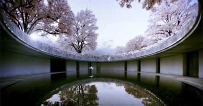 Why Are You Telling Me?