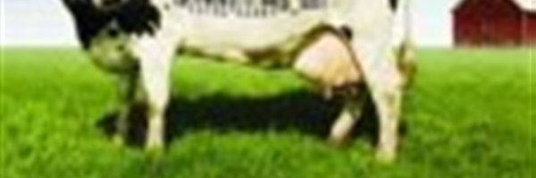 FOOD INC.  -  Film Screening & Discussion in KC