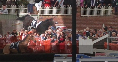 Jumps racing just got even more dangerous