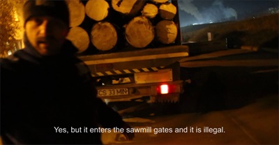 The Trees of Europe's Last Large Wilderness Ends as Cheap Fire Wood