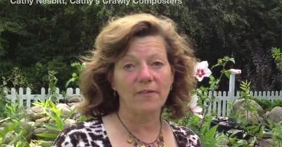 Green Connections Summer Fest 2013