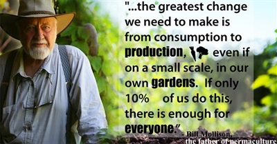 Bill Mollison: The Global Gardener - Permaculture in 4 Different Climatic Zones