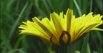 5 Ways To Take Charge of Your Health ~ Naturally