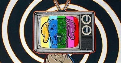 Against Conspiracy Theories - Why Our Activism Must Be Based in Reality