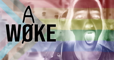 WAKE - A critical look at "WOKE"