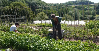 The Eco Co-Op Providing Access to Land for Sustainable Food Production and Living