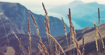 If Workers Take Power