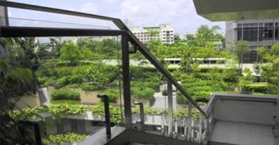 Singapore: Biophilic City