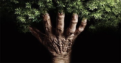 The Design Flaw at the Core of Humanity's Malaise