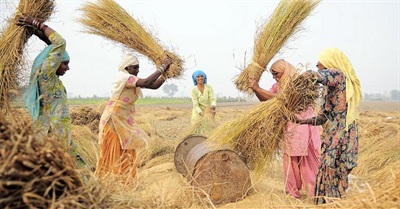 Comic Book: Together We Can Cool the Planet!