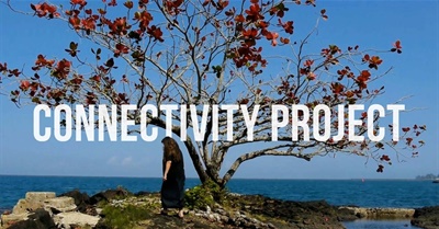 Connectivity Project