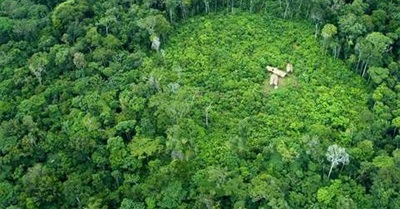 Seeing (PSA) - Films from Survival International