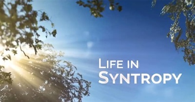 Life in Syntropy