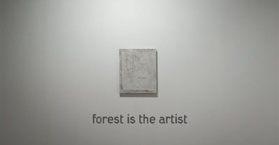 A Korean Forest Gets its own Art Exhibition