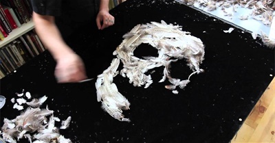 Postcard From the Void