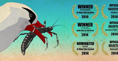 Sticky - Beautiful Animated Tale About a Remarkable Insect
