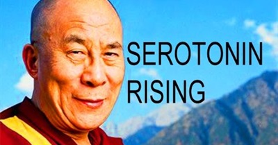 Serotonin Rising