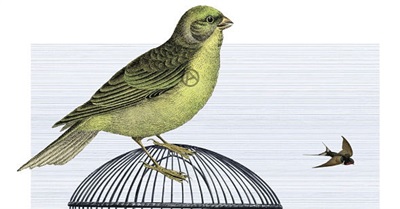 Introducing Anarchism With 4 Articles and 1 Film