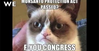 WE WILL ROCK MONSANTO by Ron Fuller SAFE FOOD NOW! PLAY IT LOUD!!