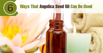 6 Health Benefits Of Using Angelica Seed Essential Oil