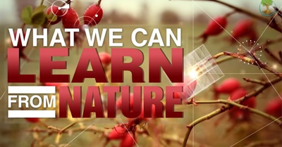 What We Can Learn From Nature | Janine Benyus