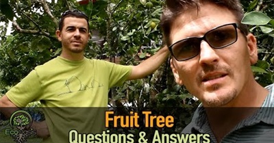 Fruit Tree Questions and Answers