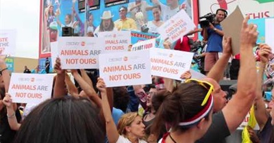 Nathan's Hot Dog Eating Contest Disruption 2015 Bloodied Animal Rights Activists Jump on Stage