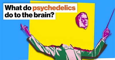 How Psychedelics Work: Fire the Conductor, Let the Orchestra Play | Michael Pollan