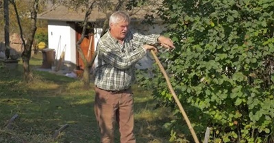 Mélymulcs Újratöltve - Ember és környezetkímélő kertművelés 2