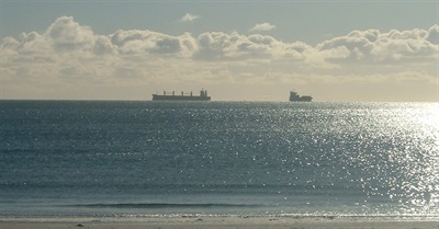 It's Complex, Stupid - The Versatile Brexit