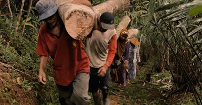 The Indonesian Forest Communities ( 2014)