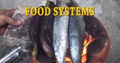 Adventures of Flowerman