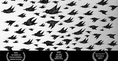 There's Too Many of These Crows - A Short Film About Aggression and Escalation