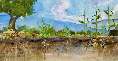 Symphony of the Soil (French subtitles)