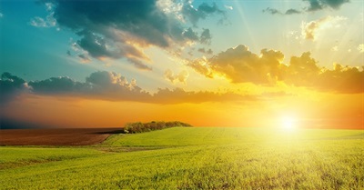 Five Paradoxes About the State of the Media