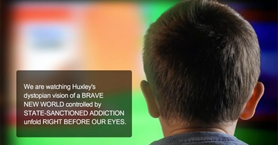 A Brave New Digital World