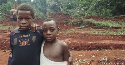 World Wildlife Fund Partners with Logging Company