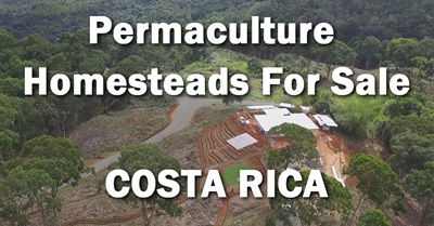 Permaculture Homesteads for Sale in Regenerative Neighborhood~ COSTA RICA
