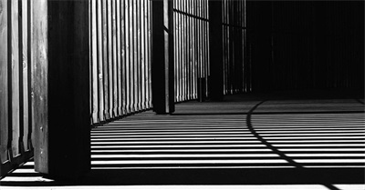 Black on Black Crime Isn't a Myth