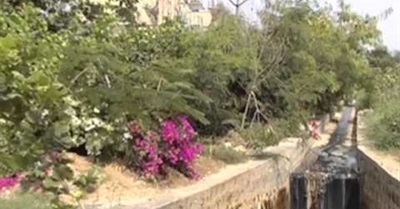 Silent Epidemic of Patancheru