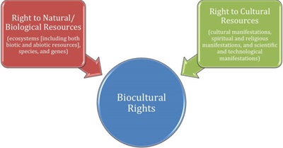 Biocultural Rights: A New Paradigm for Protecting Natural and Cultural Resources of Indigenous Communities