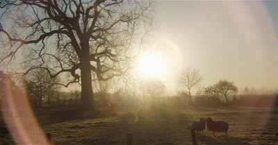 There IS a Way Through This Crisis