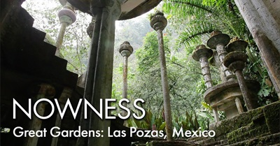 The Great Gardens of Las Pozas Are Breathtaking