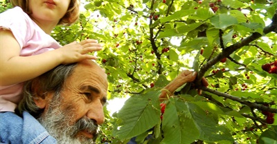 Natural Farming Center - Panagiotis Manikis